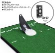画像1: デビルセット【パットトレーナー＋ミディアムマット（グリーン）＋デビルボール】 (1)