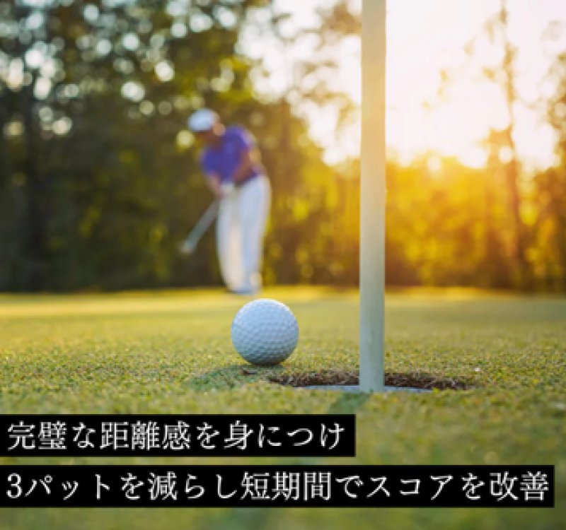 画像4: プレミアムプレッシャーパットトレーナー［ホワイト・ストーン］　　 (4)