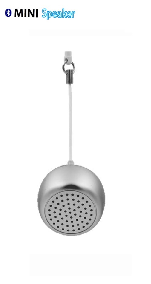 BM2(Bluetooth speaker) Silver